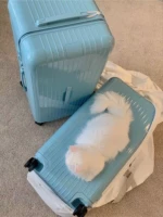 Ледник синий