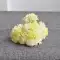 Keo mềm tú cầu mô phỏng loài xương rồng bảng hiển thị hoa hoa giả đồ trang trí trang trí Bắc Âu cưới nhựa hoa hoa giả giá rẻ đào giả Cây hoa trang trí