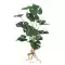 Cây cảnh lá rùa có rễ, hoa giả, đồ trang trí cây xanh Bắc Âu, trang trí văn phòng, phòng khách gia đình, chậu cây nhỏ lá rùa bình hoa mộc lan giả cây hoa mai giả Cây hoa trang trí