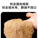 Мучная приманка из медуза