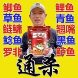 Новый магазин 2023 года. Четыре цвета рыболовной наживки Tianyuan Denggang можно приобрести в одной упаковке для ловли карася, карпа, белого амура, леща, сельди и наживки для дикой рыбалки.