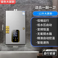 12-литровый VIP-серебряный модель большого экрана подходит для одной кухни и одной ванной комнаты + самостоятельная установка