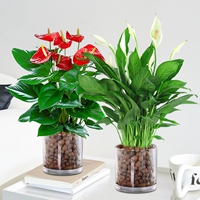 [2 бассейна] Специальный антрацит + Специальная белая ладонь (НДС на крыше + керамические гранулы)