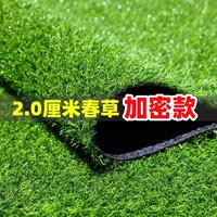 [2厘米加密优质春草【1米宽*7米长】]