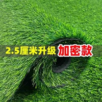 [2.5厘米加密优质春草【1米宽*7米长】]