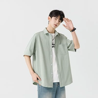 Бин зеленый