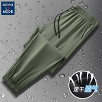 【Ледяной шелковый луч】 Пальмовая зеленая (пустая)