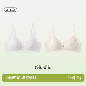 内衣女聚拢小胸纯欲风少女感防下垂收副乳2026爆款文胸罩法式科学