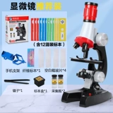 Детский микроскоп для школьников, профессиональная портативная игрушка, комплект для экспериментов для детского сада, наука, увеличение в 1200 раз, оптика