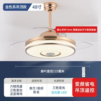 48 -Inch/Boom Gold/Full Spectrum/6 Gear/Cretment Cretment Remother