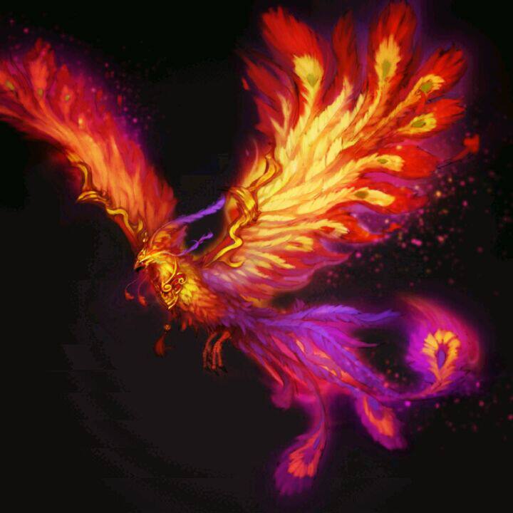 爱逛街为您找到连帽羽绒服相关的宝贝,您可以在下面