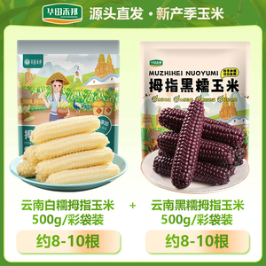 【黑白组合】西双版纳拇指玉米1kg