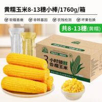 【刘老杆】东北黄糯玉米8-13根共1760克