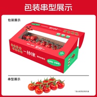 【一柿缘】樱桃番茄整串带枝1358g礼盒装