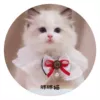 Товары от 玉颜8888