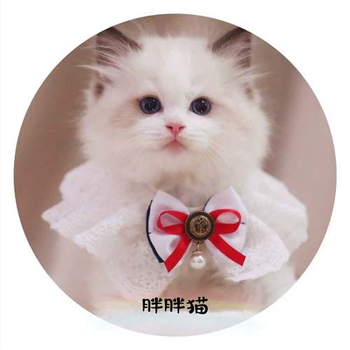 Слюнявчик, шарф, нагрудник, чокер с бантиком, аксессуар