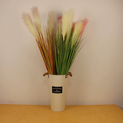 Симуляция тростника трава, собачья хвостовая трава вода сушена