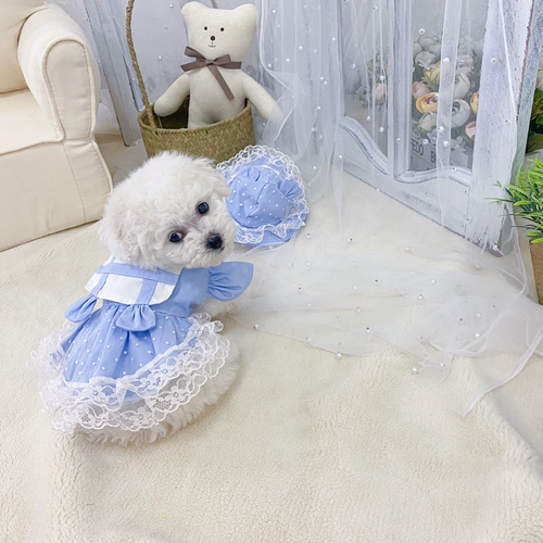 Летний милый комфортный дышащий комплект, солнцезащитная шляпа, популярно в интернете