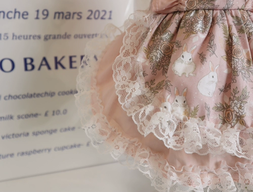 Оу новая домашняя собачья собака для кружевного плать