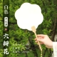 Bai Xuan-Six-Petal Flower