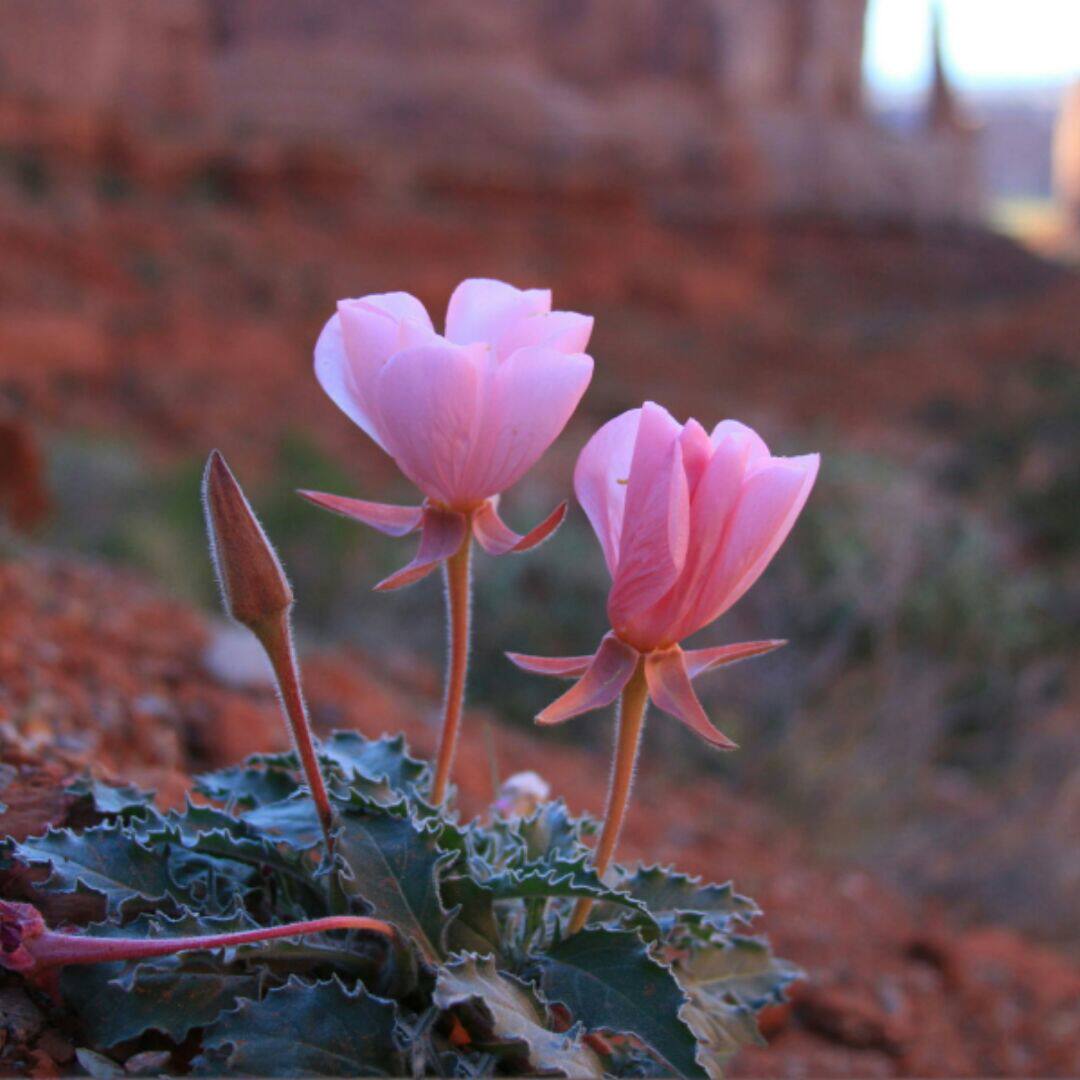 爱逛街为您找到女新款短裤相关的宝贝,您可以在下面