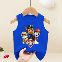 AQI Vest-Blue