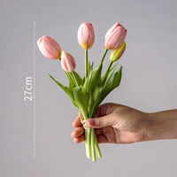 5 Head Light Tulip Handlip [увлажняющее ощущение]