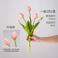 Длинная ветвь светло -розовая ручка тюльпана [увлажняющее ощущение]