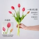 Чангжи роза красная ручка тюльпана [увлажняющее ощущение]
