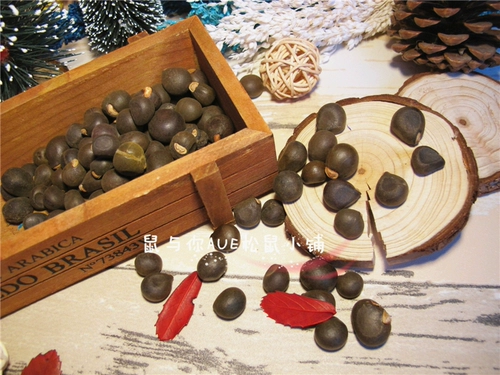 Wild Wen Guan Jianzan Flying Flying Flower Vinging Wanging Small Food Snaps Food Sainkes Яркие волосы семя 50 г