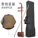 Профессиональные этнические музыкальные инструменты для взрослых для начинающих, прямые продажи с завода