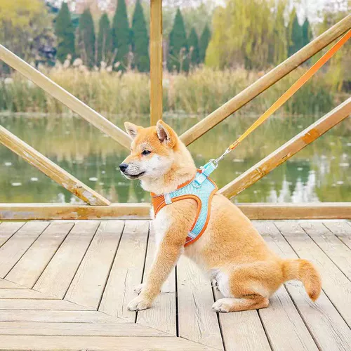 Ходячая собачья кошачья тяга для грудной клет