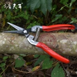 塘夫子 Высокоуглеродистые стальные ветви вырезают фрукты с прямой головой