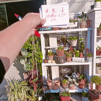 [实木双层置物架]