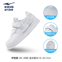 [Net] Zhengbai 001
