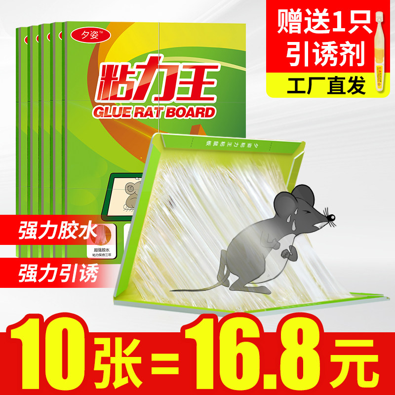 老鼠贴强力粘鼠板抓大老鼠粘板