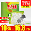 老鼠贴强力粘鼠板抓大老鼠粘板
