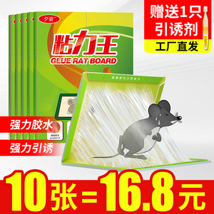 老鼠贴强力粘鼠板抓大老鼠粘板