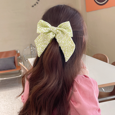 taobao agent Hair rope, ponytail, summer headband, floral print, 2022 collection
