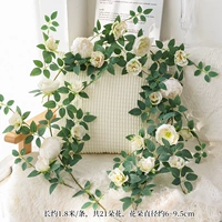 Европейский стиль пион ротан белый