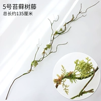 № 5 моделирование моховой виноградной лозы