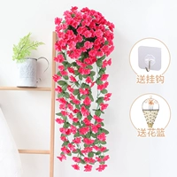 Purple Rose Red 1 Bunch (бесплатная корзина треугольника)