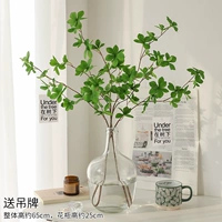 2 ветви китайской шелковой ткани, висящие часы+25 см, большие бутылки живота