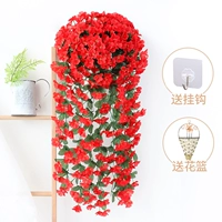 Purple Red 2 -й Beins (отправьте 1 треугольную корзину)