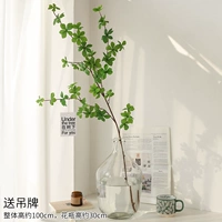 1 ветвь большой шелковой ткани висящих часов+30 см. Большая бутылка