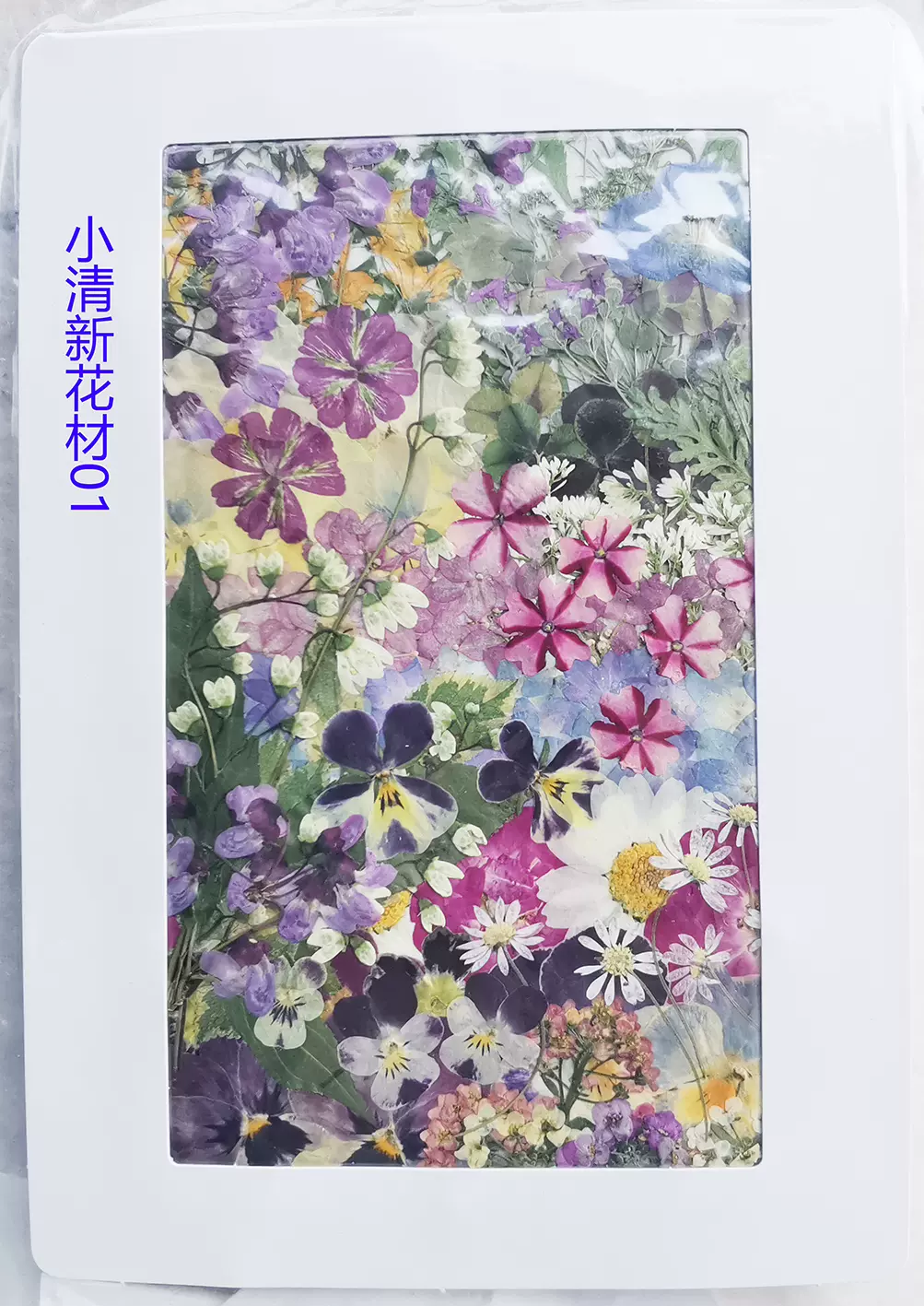 日本进口花伴礼无影透明专用uv胶水快干速干封层防水滴胶紫外线灯