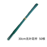 30 см. Безлизненный цветочный стержень 50 корней