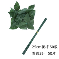 25 см 3 листовых цветочных столбов 50 корней