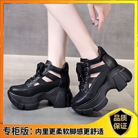 Черная обновленная версия предпочтительнее