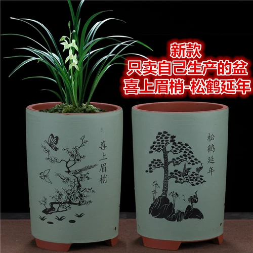 Фиолетовый песчаный цветочный горшок посвященные фиолетовые песчаные орхидеи сочные цветочные горшки Производитель прямой продажа бонсай джентльмен Орхидея Специальное предложение очистка